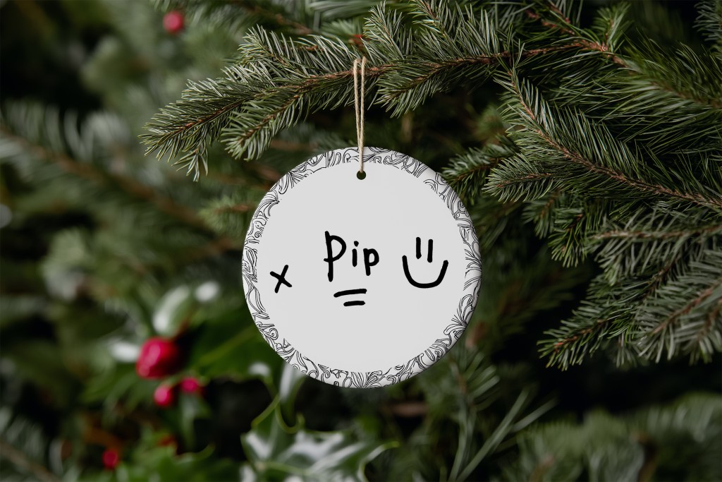 Pip's Place Christmas Appeal